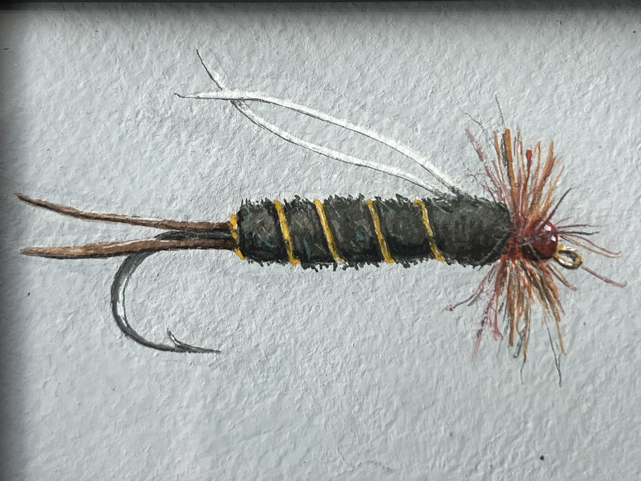 fishing-fly